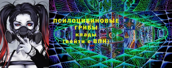 эйфоретик Алзамай