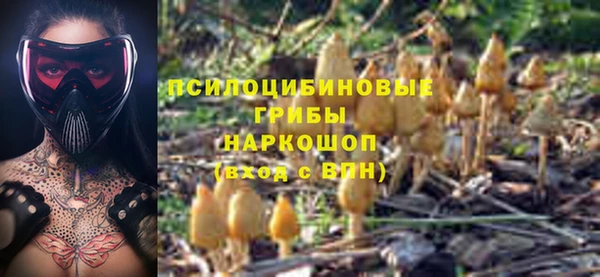 apvp Алексеевка