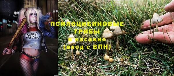 apvp Алексеевка