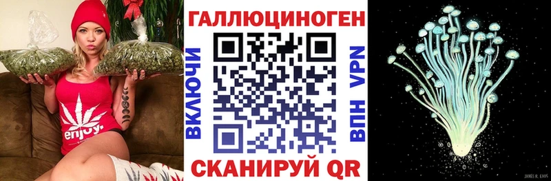 наркота  Покачи  Псилоцибиновые грибы MAGIC MUSHROOMS 
